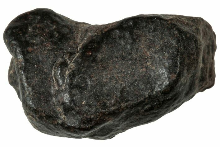 Carbonaceous Chondrite Meteorite ( g) - NWA #312848